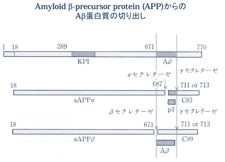 AڤФ