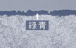 緑青の顕微鏡写真