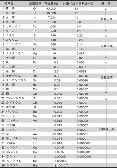 標準人間(体重70kg)の元素組成